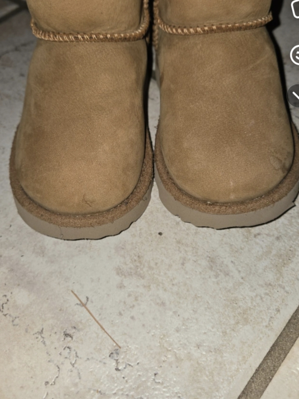 UGG Chestnut Short Suede Boots